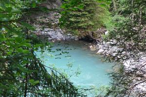 Corner of paradise on the Saanen River