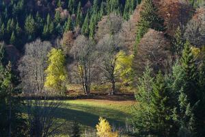 End of Autumn