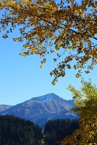 Gifferspitz in Autumn