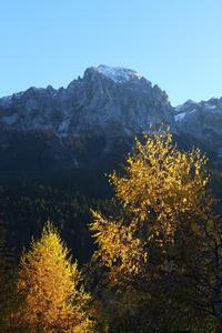 Autumn arrives in Rougemont