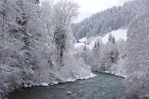 Saanen River