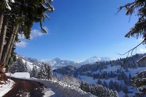 Walking towards Saanen in winter