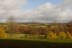 The sheep's view