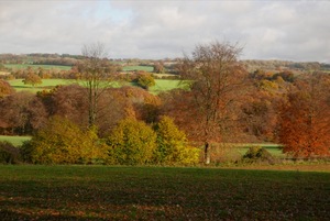 November fields near Brockwood