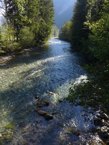 La Sarine in Rougemont