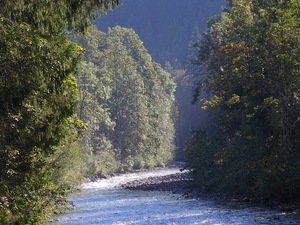 La Sarine from the bridge