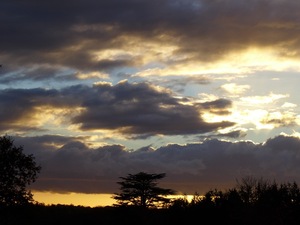 Clouds at Brockwood