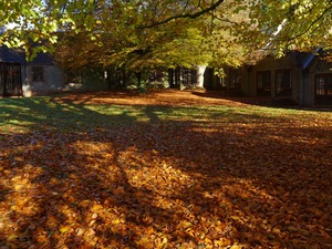 Autumn at the Centre