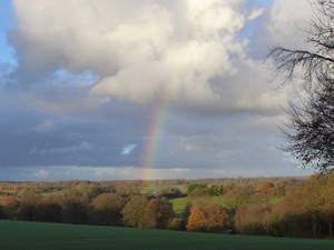 From the sheep hill