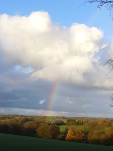 From the sheep hill, vertical