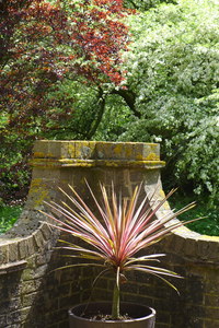 A corner of the Centre at Brockwood Park