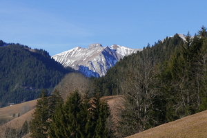 Early snow