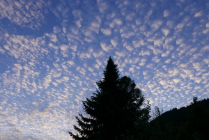 Dappled Sky