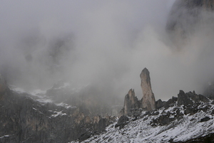 Misty Schijenzahn Rock