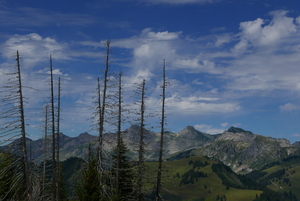 View from Wispile