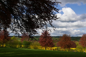 Spring around Brockwood