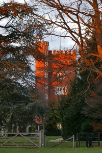 The Tower (again)