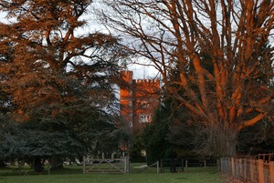 The Tower
