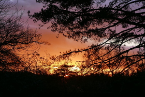 Setting sun