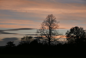 Whispering sky