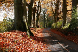 On the Brockwood Walk