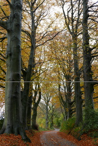 Around the 'block' at Brockwood