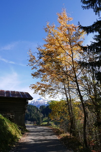 On the upper way to Saanen