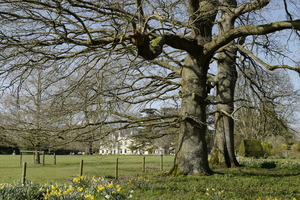 The School from the Centre