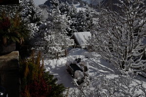 Winter fountain