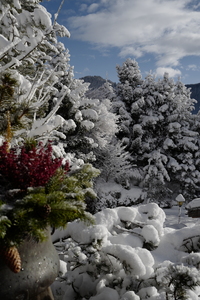 Winter reaches Solitude