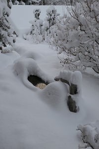 Frozen Fontaine