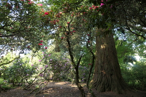 In the spring Grove 1