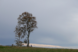 Silent observation