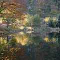 4363_square