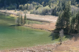 Walking at Lauenensee