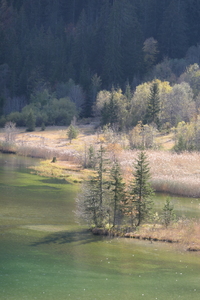 Around Lauenensee