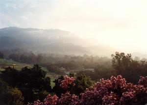 Hazy sunrise light on the Valley, pink azalea in the foreground